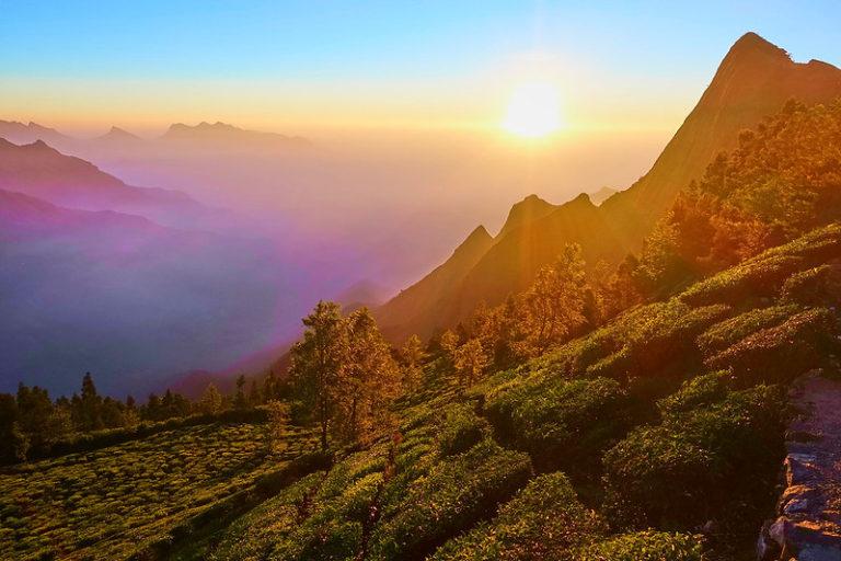 15 Best Things to Do in Munnar for a Fun-Filled Vacation [2021 Updated ...