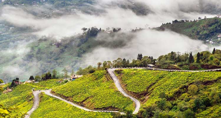 Darjeeling to Pelling road trip for couples