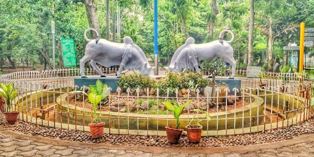 Botanical Garden Pondicherry 