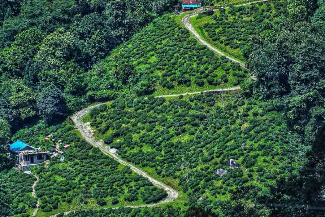7 Best Weekend Getaways From Siliguri