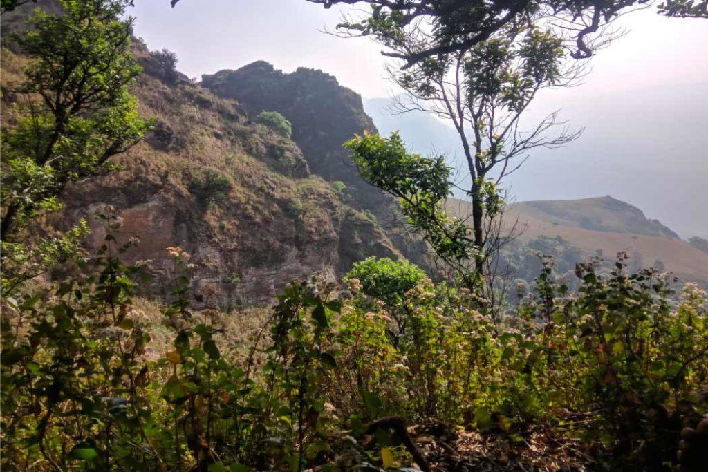 Lush greens of Panchmarhi the best of hill stations in Madhya pradesh.