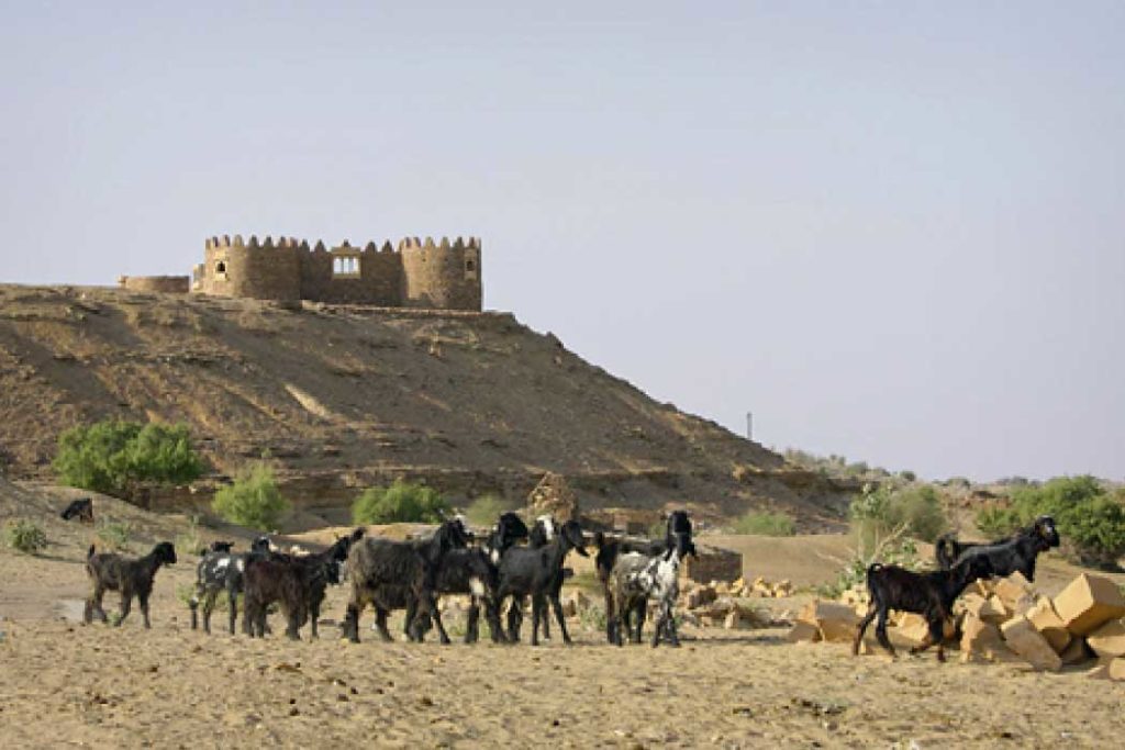 Visit Khaba Park. it is one of the best things to do in Jaisalmer. 