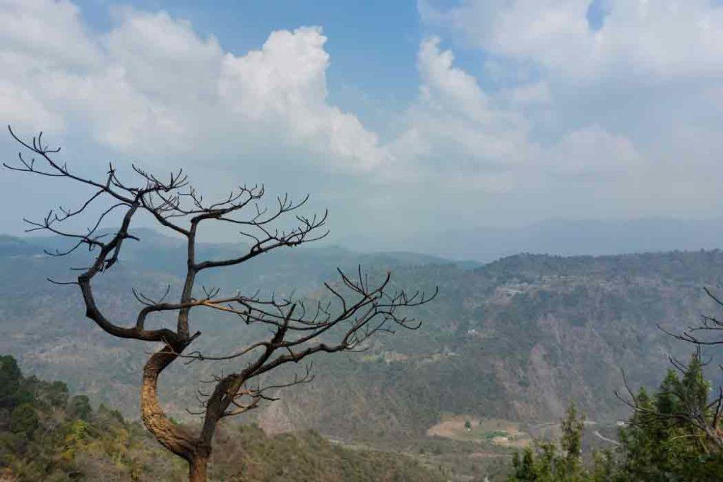 Morni Hills is one of the best places to visit near Chandigarh.