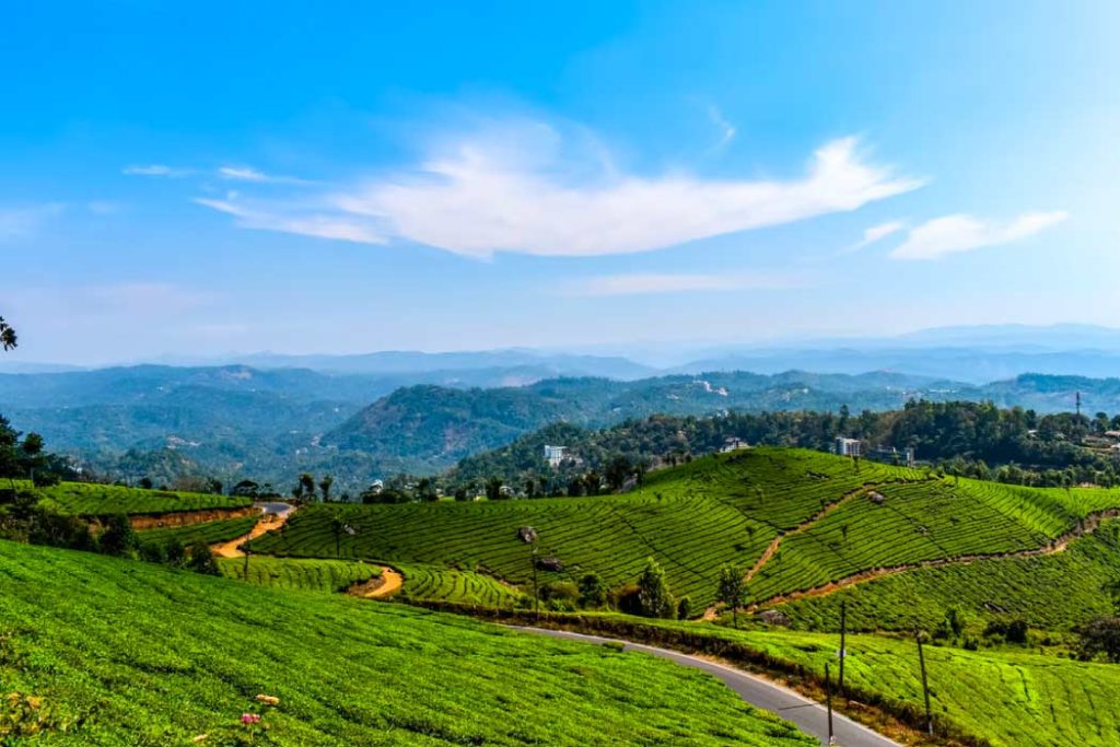 Munnar is one of the best places to visit in August in India 