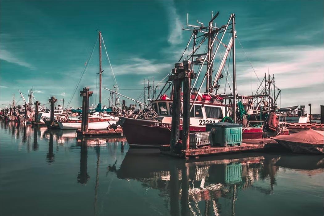 22 Places to Visit in Vizag, Tourist Attractions in Vizag Treebo