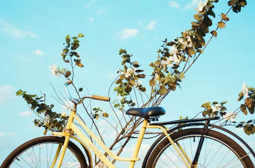 Things to Do in Gurgaon
