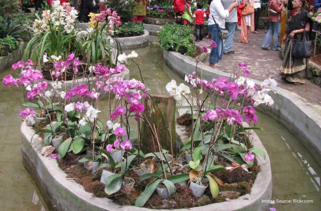 Flower Exhibition Centre is one of the best places to visit in Gangtok 