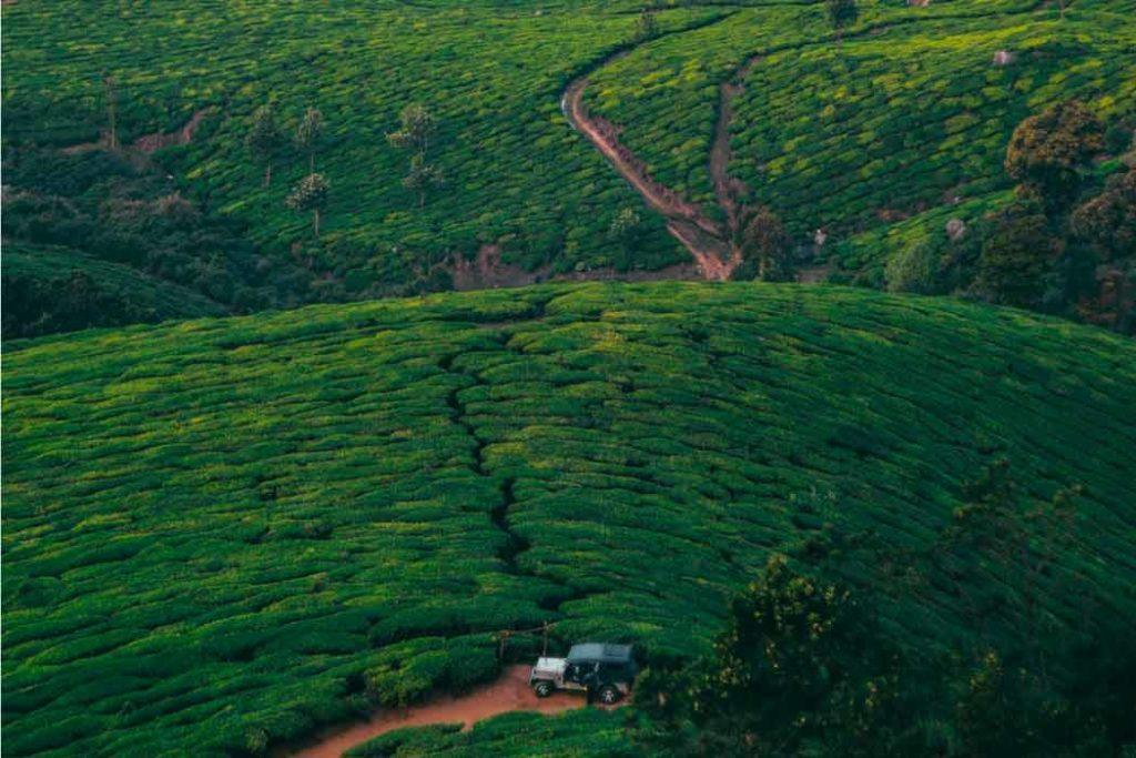 The aromatic hill of Kolukkumalai Tea Estate amongst the best places to visit in Munnar.