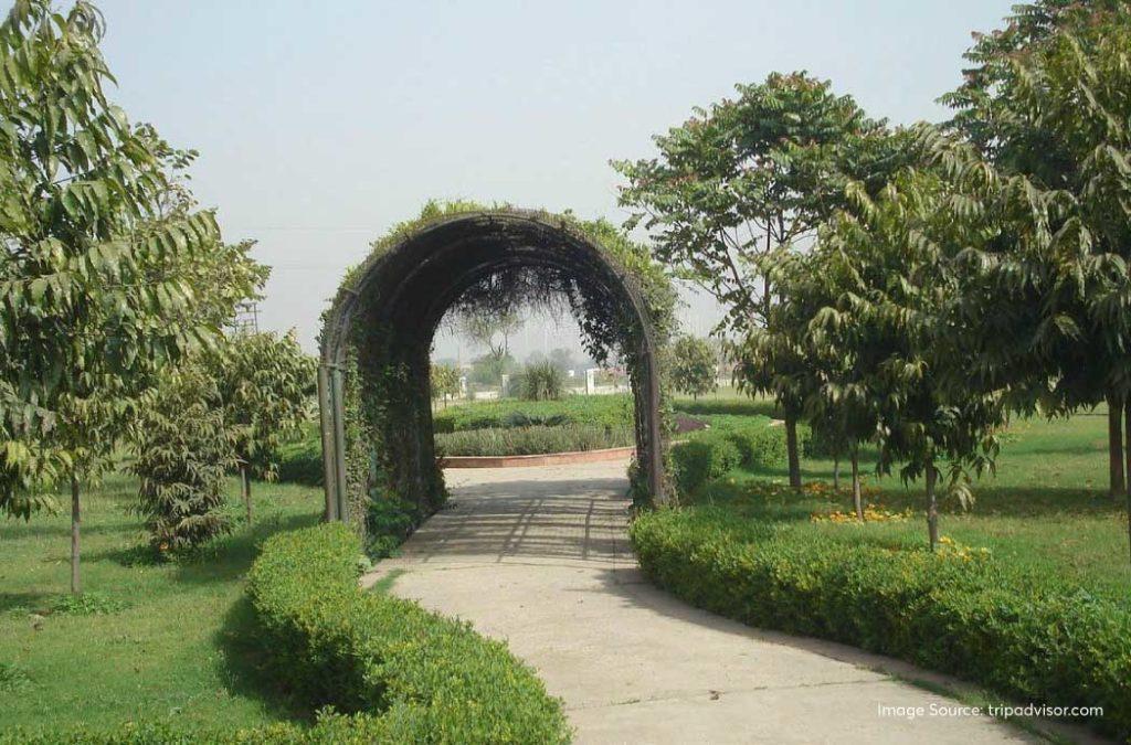 Visiting Tau Devi Lal Biodiversity Park is an exciting thing to do in Gurgaon