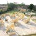 So You're Visiting Jantar Mantar in Jaipur? Here's What You Need to Know!