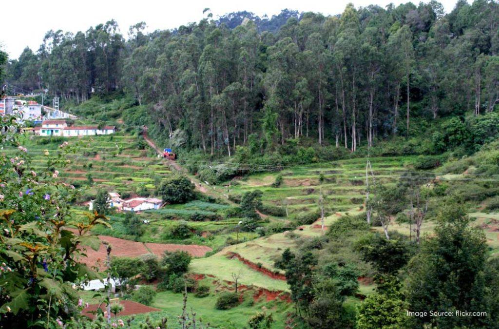Coonoor - hill stations near Coimbatore