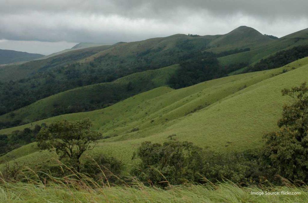 Lush greens of Kemmangundi is a must visit tourist places in Chikmagalur.