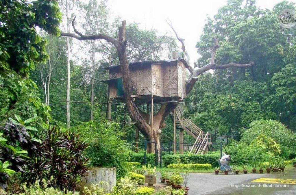 Enjoy watching various species of flora and fauna at the Sanjay Gandhi National Park during places to visit in Patna.