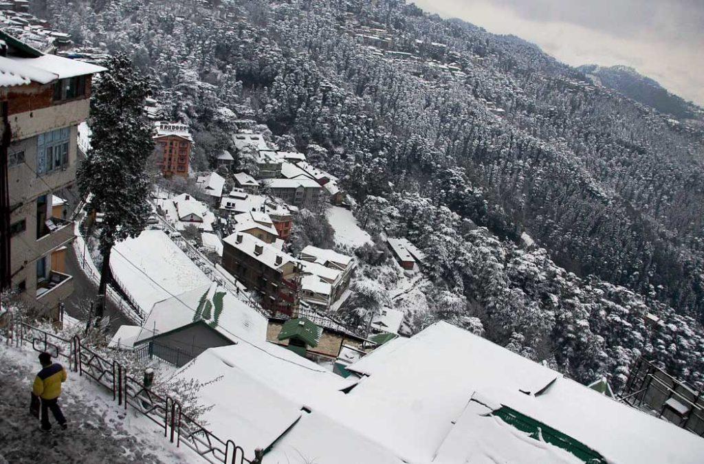 Snowcation is best in Shimla