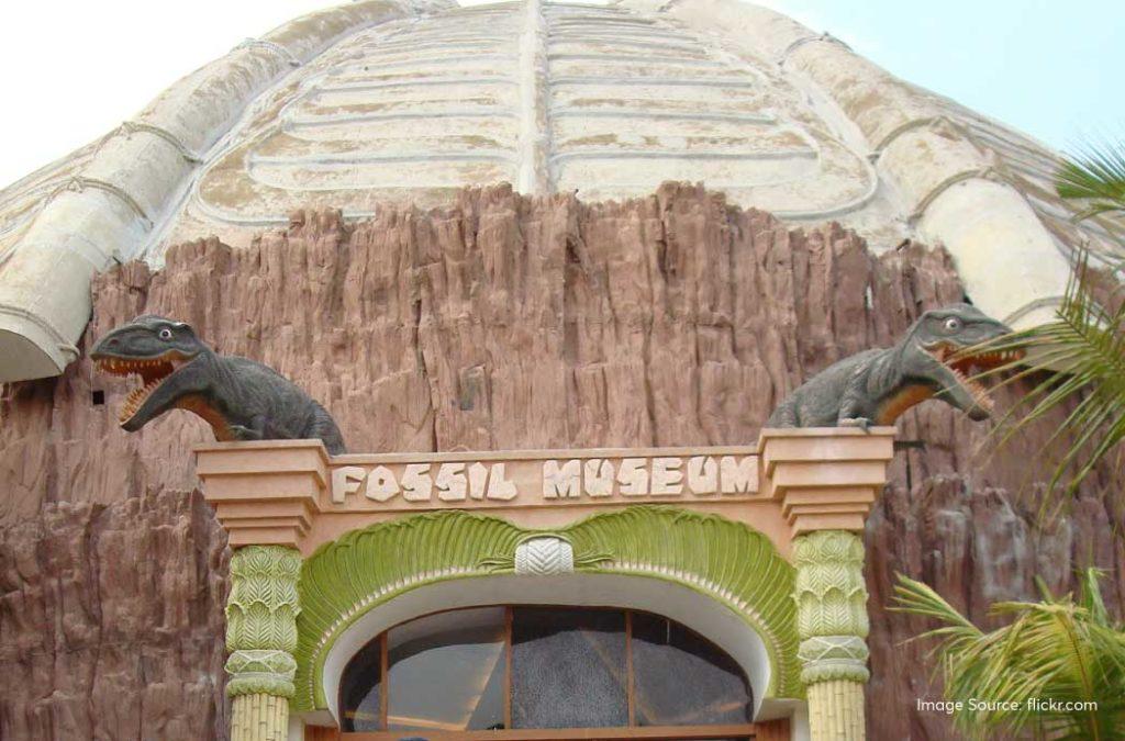 Fossil Hunt at the Innovative Film City Bangalore