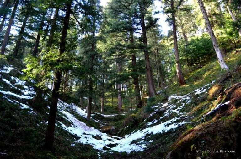 Visit The Mini Switzerland Of India- Khajjiar And Take The Feel Of ...