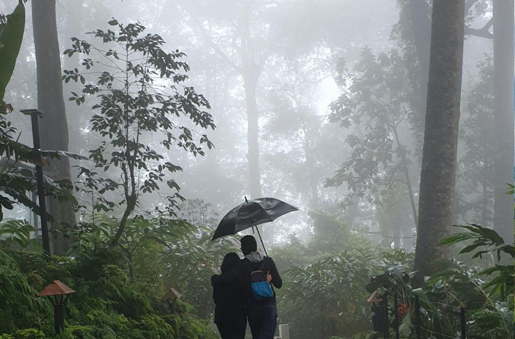 Enjoy with your loved ones at the best time to visit Munnar for honeymoon.