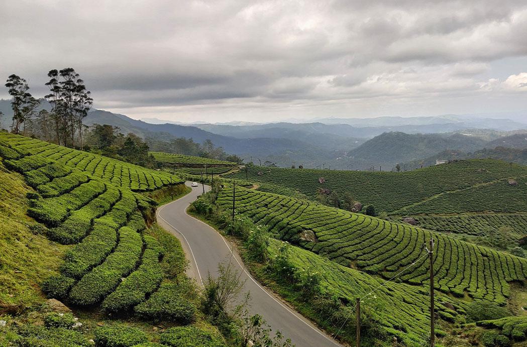 The Best Time to Visit Munnar