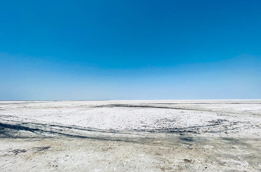 Rann of Kutch is one of the promising winter tourist places in India for an unbelievable time. 