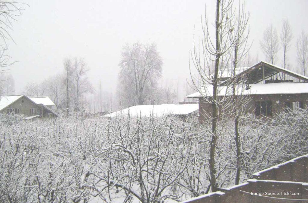 Visit Srinagar to experience snowfall in Kashmir.
