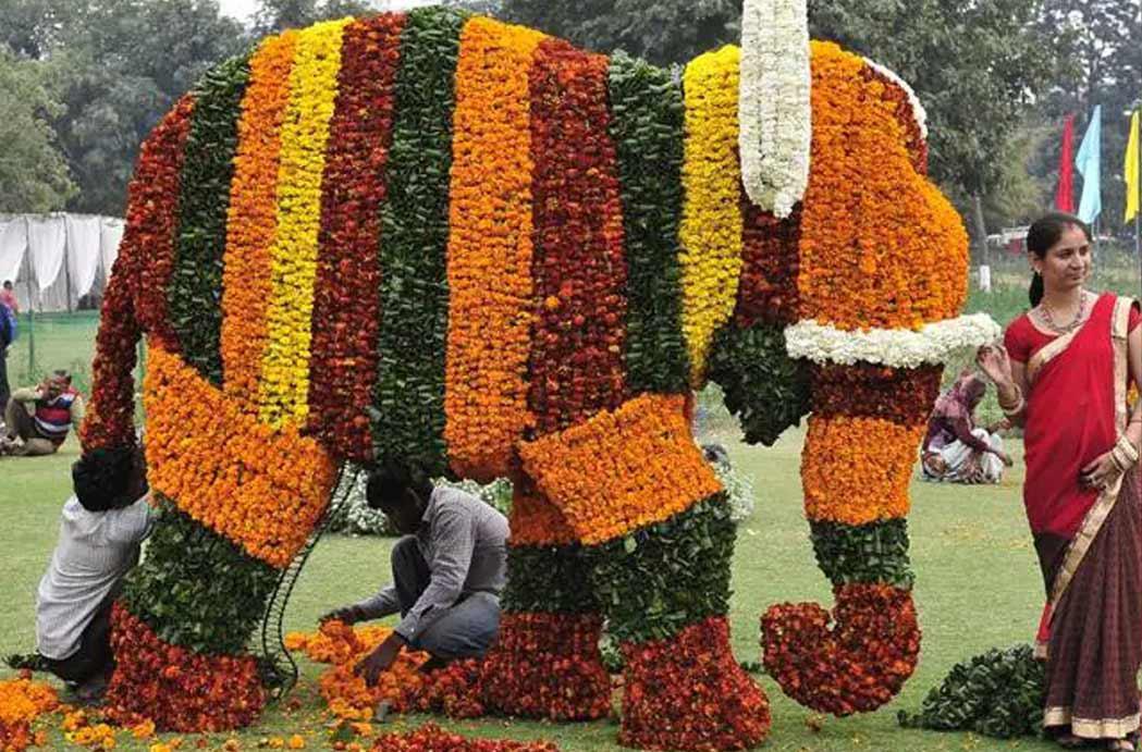 Visit The Most Celebrated Flower Festival The Rose Festival Chandigarh