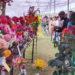 Visit The Most Celebrated Flower Festival: The Rose Festival Chandigarh