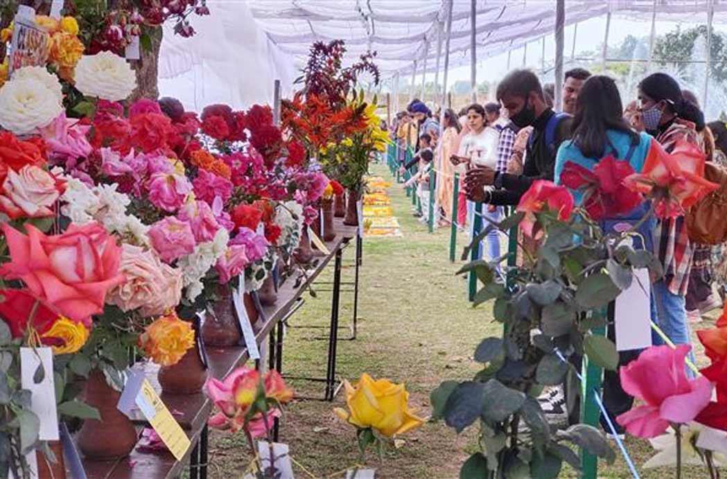 Rose Festival Chandigarh