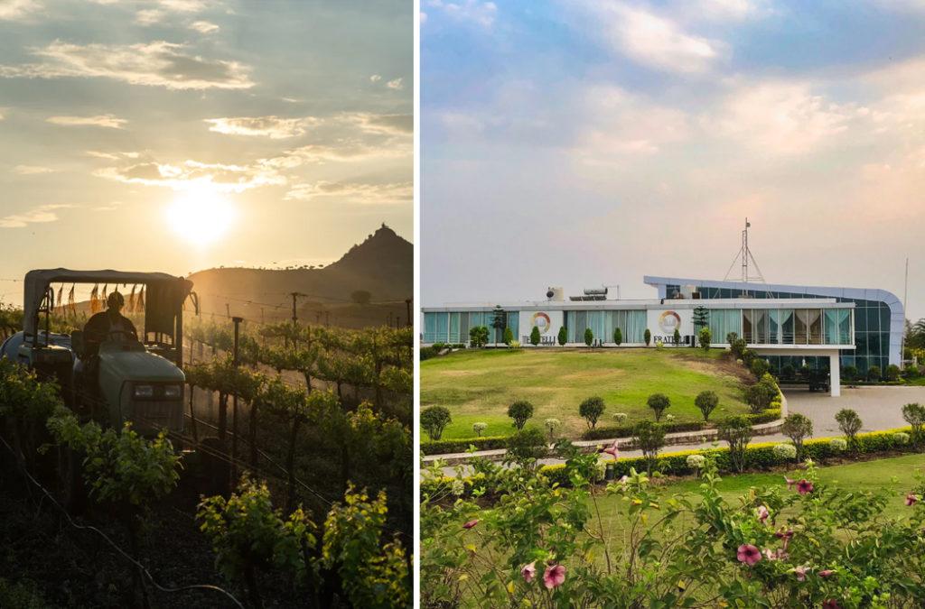 The Fratelli Winery produces some great variety of wine and is a well known vineyard in India