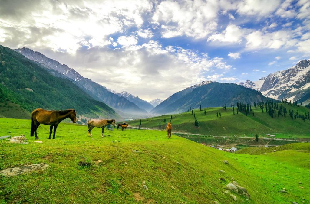 Calm valleys in Kashmir beckoning you to plan a Kashmir itinerary