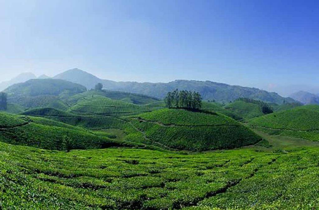 Munnar is one of the romantic places to visit for Valentine's Day 2023