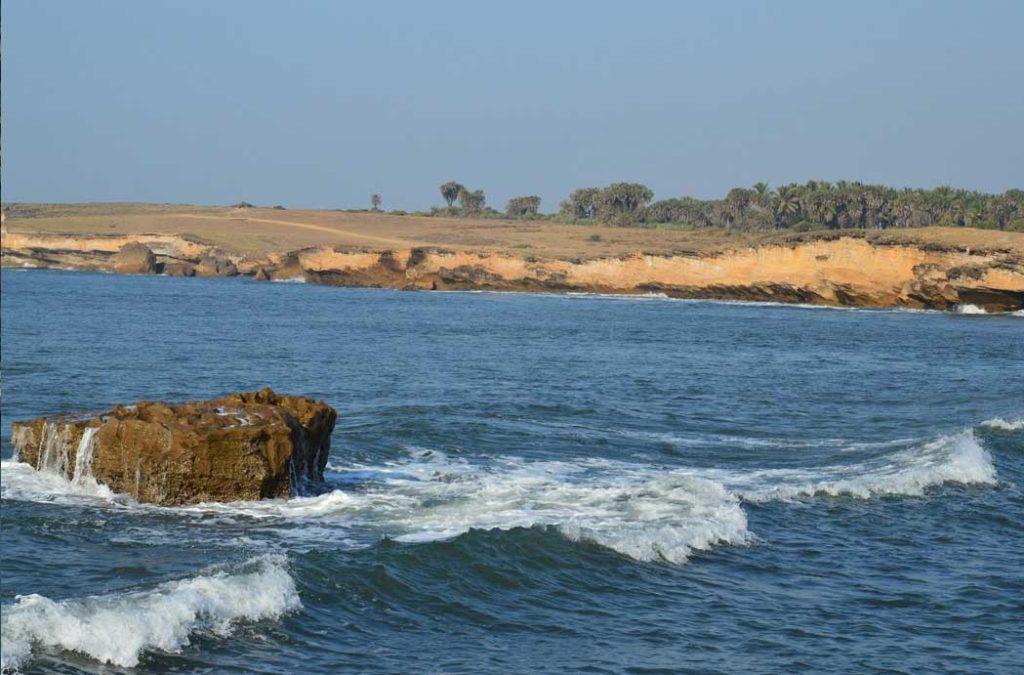 One of the most unique beaches in India with Hoga trees