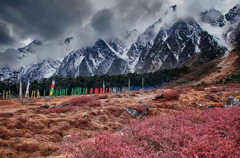 Yumthang Valley is one of the top places to visit in your Sikkim itinerary