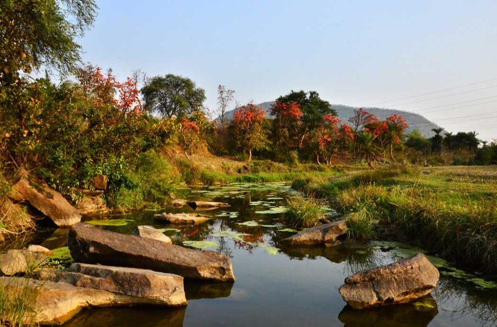 Places where you can go for ecotourism in India