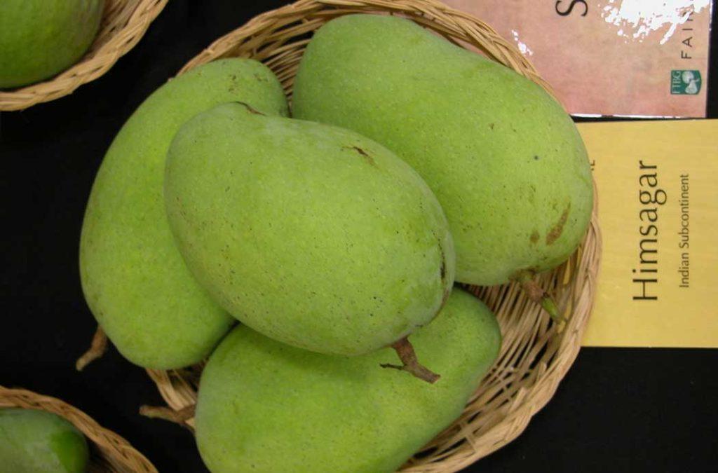 Himsagar mangoes are medium-sized, oval-shaped fruits with a yellow to orange outer color.