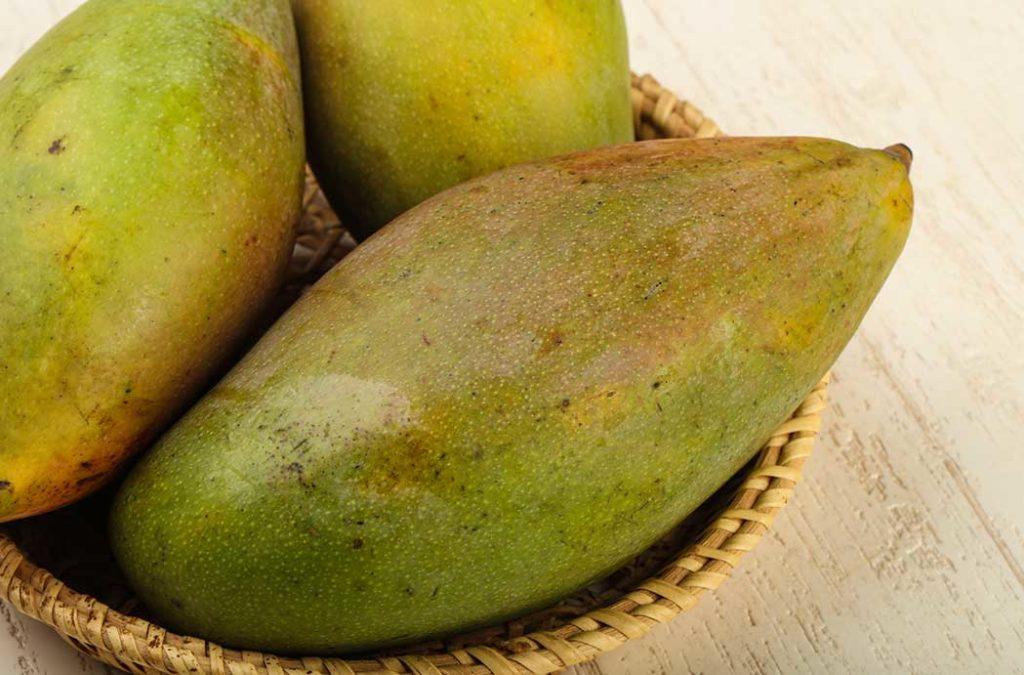 Kilichundan is a very interesting type of Mango available in India. It has an elongated body with the lower half shaped like the beak of a bird. 