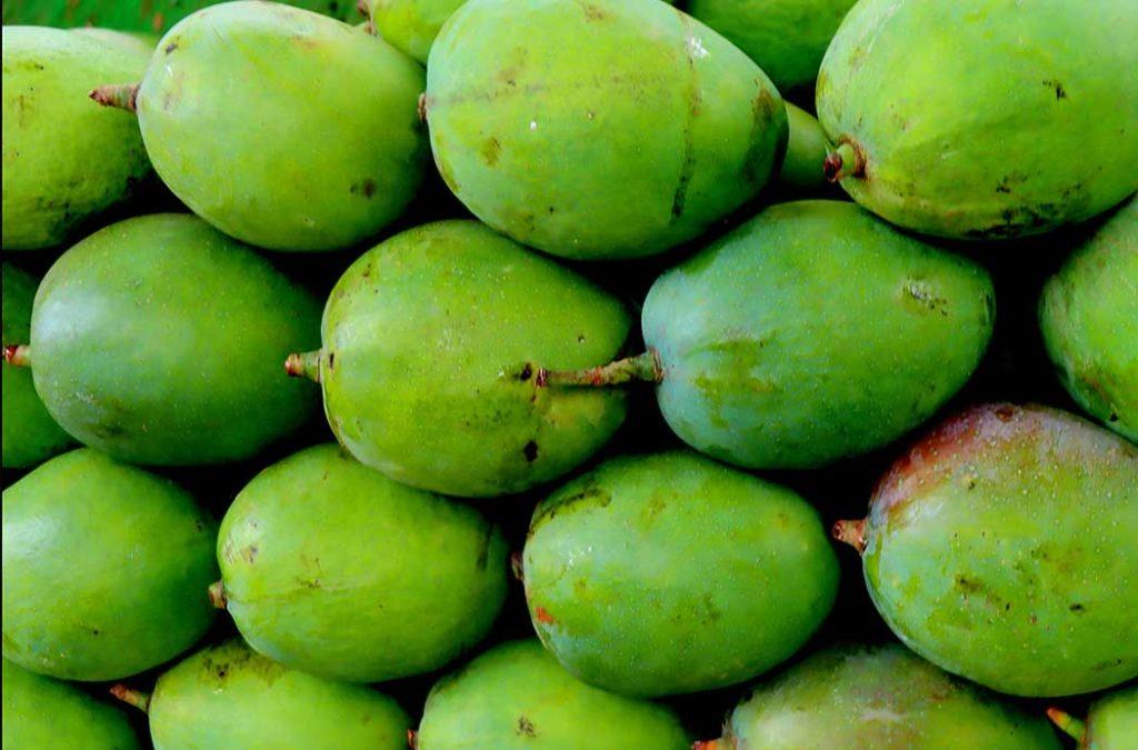 The Langra Mangoes have greenish-yellow skin with a slightly rough texture