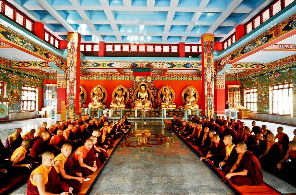 Witness Buddhism at the best Buddhist monastery in India