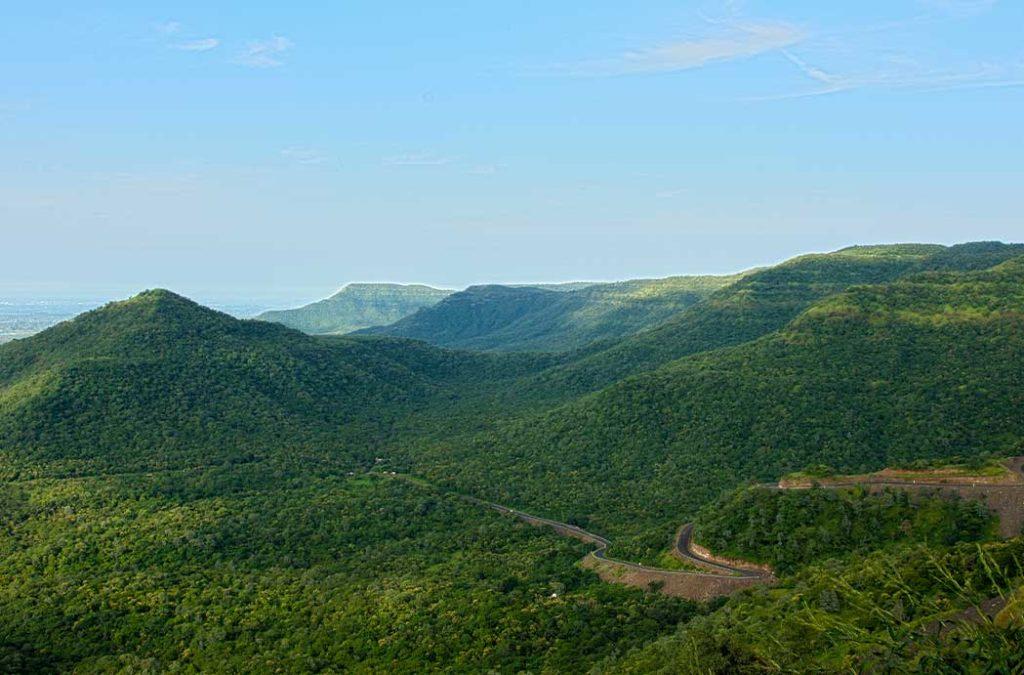 Seshachalam Hills is one of the Biosphere Reserves in India