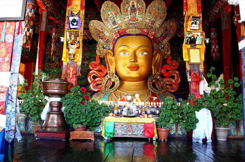 Witness Buddhism at the best Buddhist monastery in India