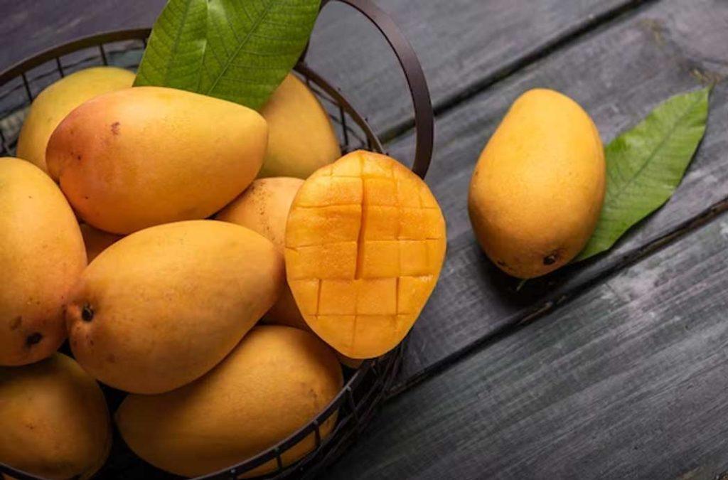 People travel across the country to get a taste of the different Mango varieties in India