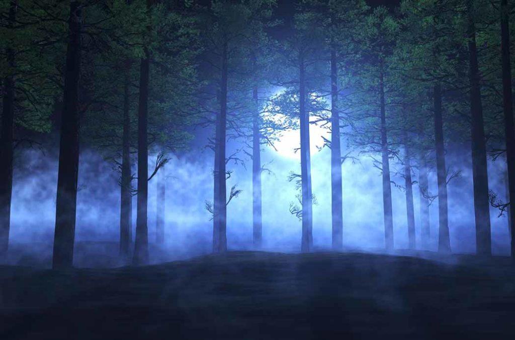 The Aleya Ghost Lights, also called the Ghost Orbs are a famous phenomenon seen in the Sundarbans of the West Bengal region