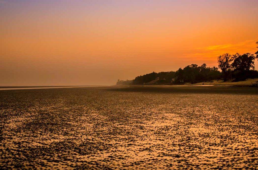 Experience the unique ebbing tides and golden sands at Chandipur Beach, a playful and captivating destination among the beaches in Odisha