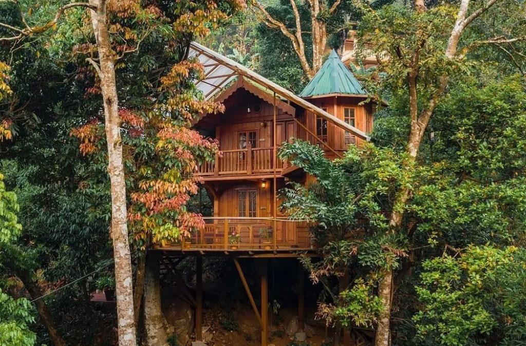 Stay in one of the top rated tree houses in India