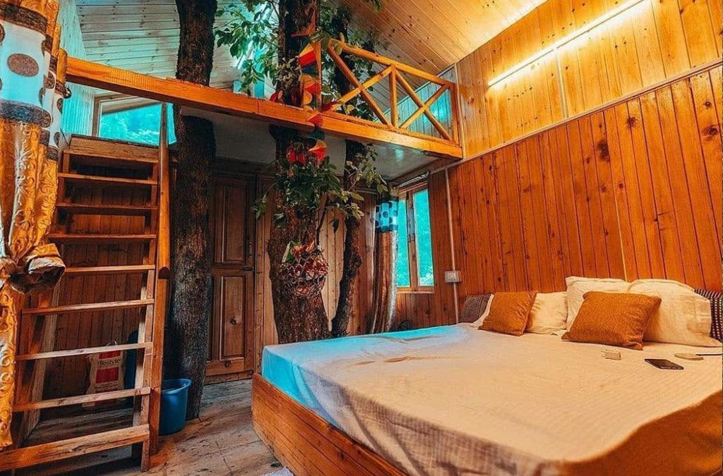 Stay in one of the best tree houses in India
