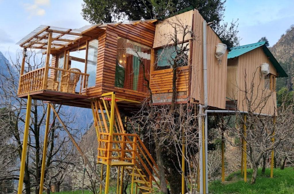 Stay in one of the best tree houses in India
