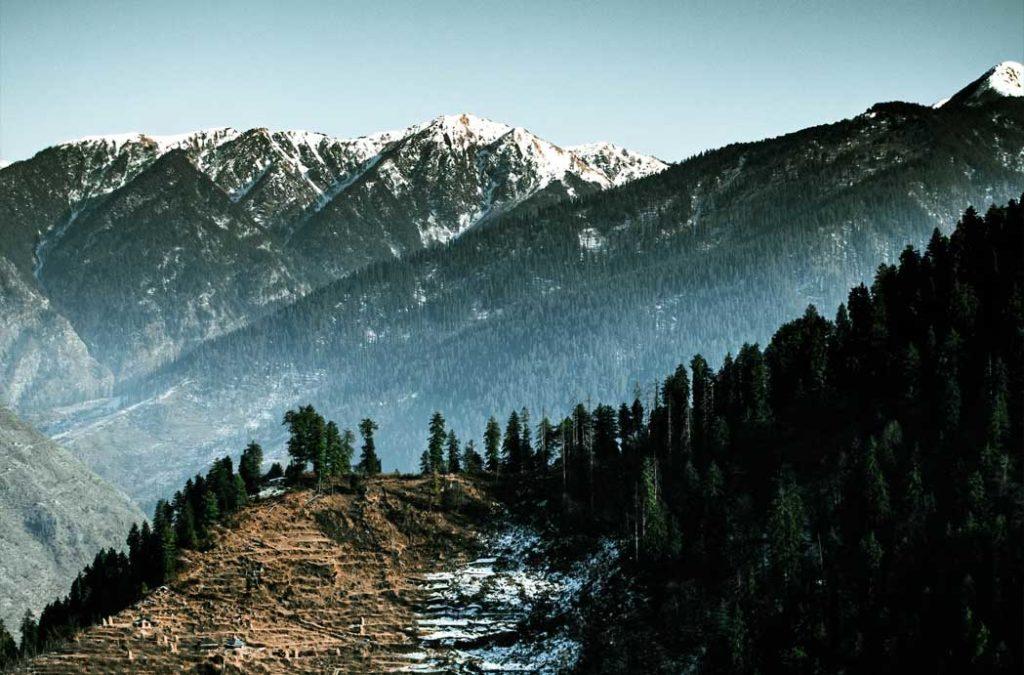 Trithan Valley is nature's abode where everything that meets the eye is untouched and is one of the best places to visit in Kullu. 