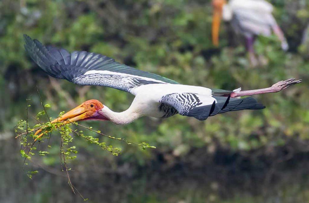 Vedanthangal Bird Sanctuary is a protected area situated in the Madurantakam taluk of the Chengalpattu District in the state of Tamil Nadu.