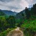 9 Places To Visit in Kullu: Explore, Relish, and Live!