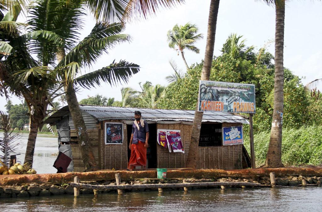 Travel during the Beach festival which is arguably the best time to visit Alleppey and shot at the famous fish market. 