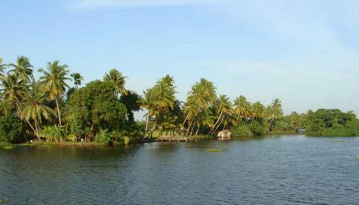 Timing is Everything: Decoding the Best Time to Visit Alleppey